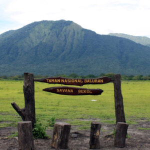 taman nasional baluran